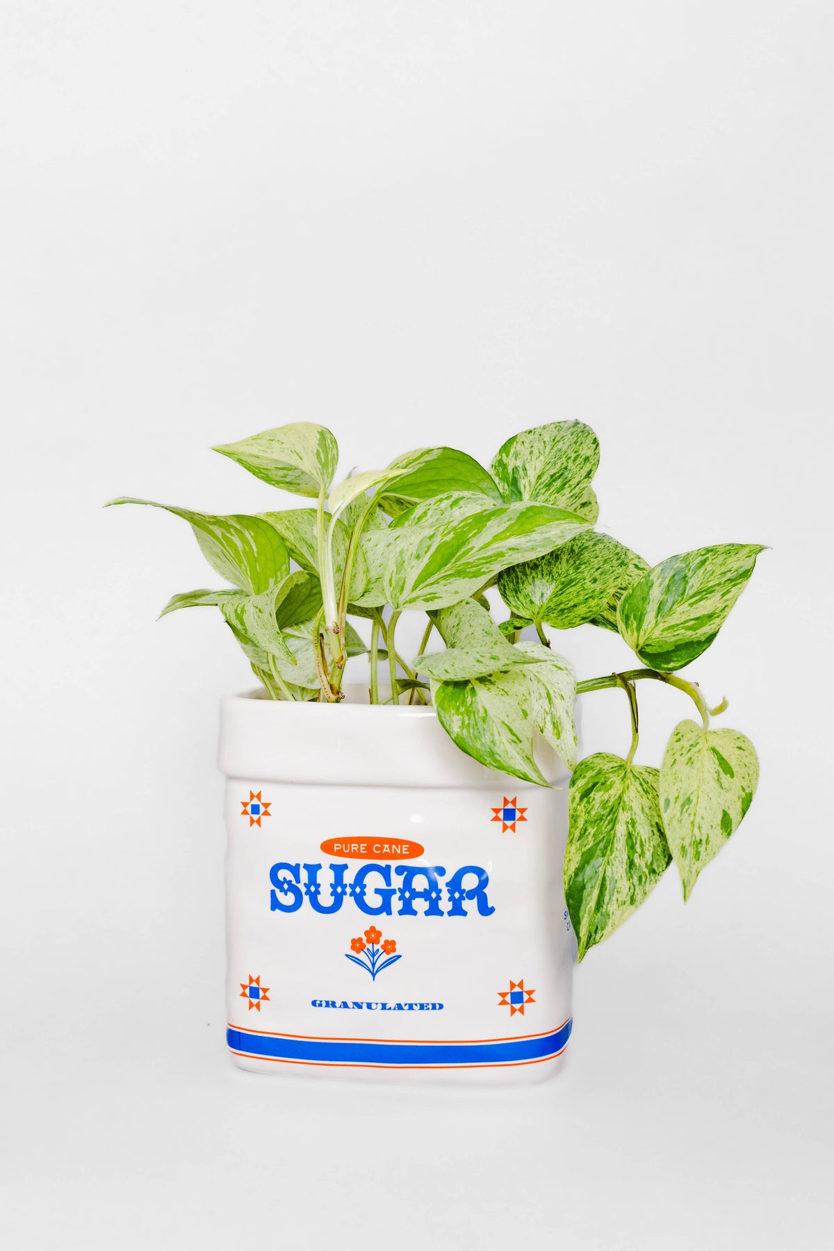 Sugar Jar Ceramic Planter