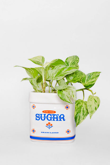 Sugar Jar Ceramic Planter