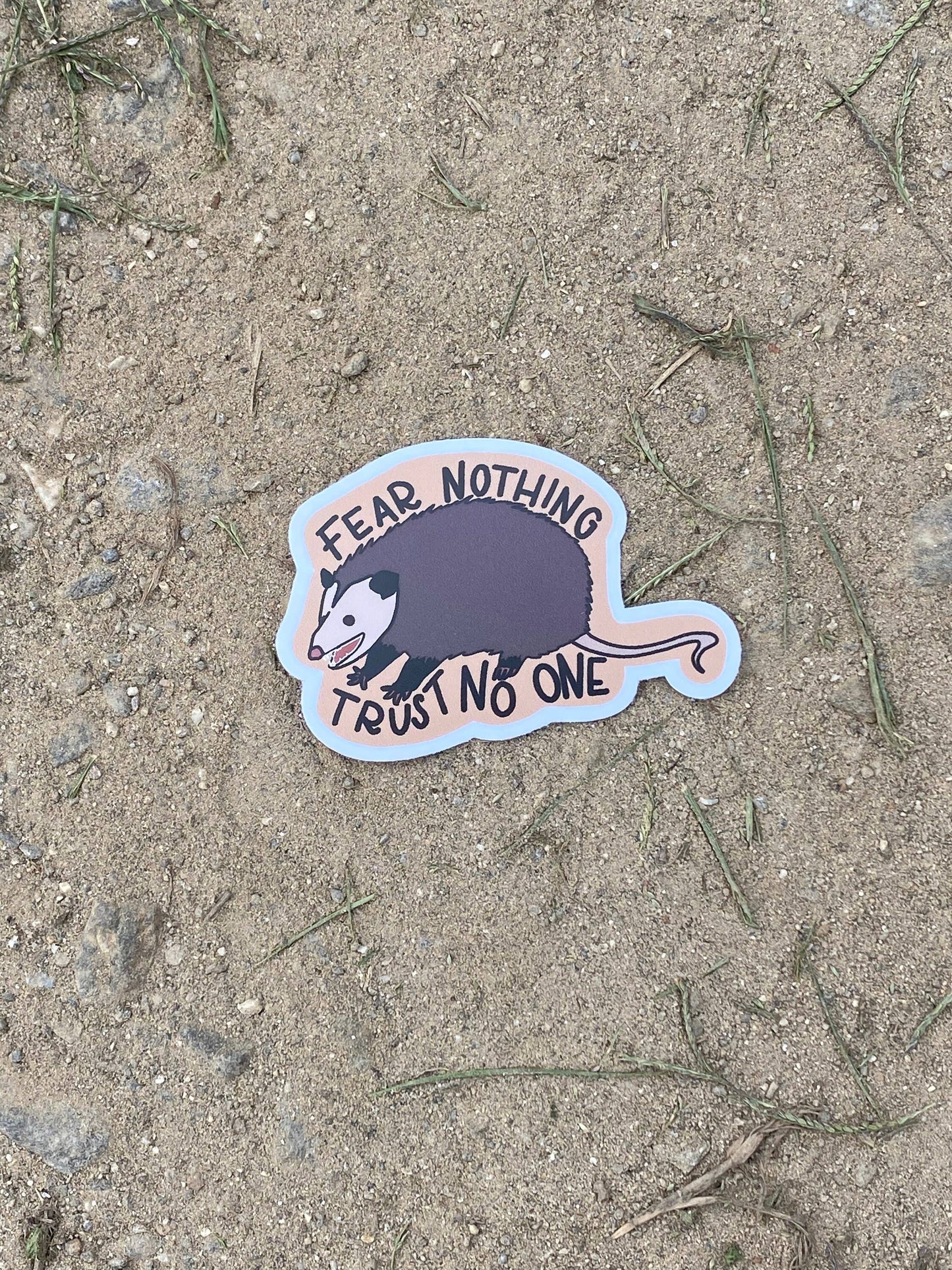 Trust No One Opossum Sticker