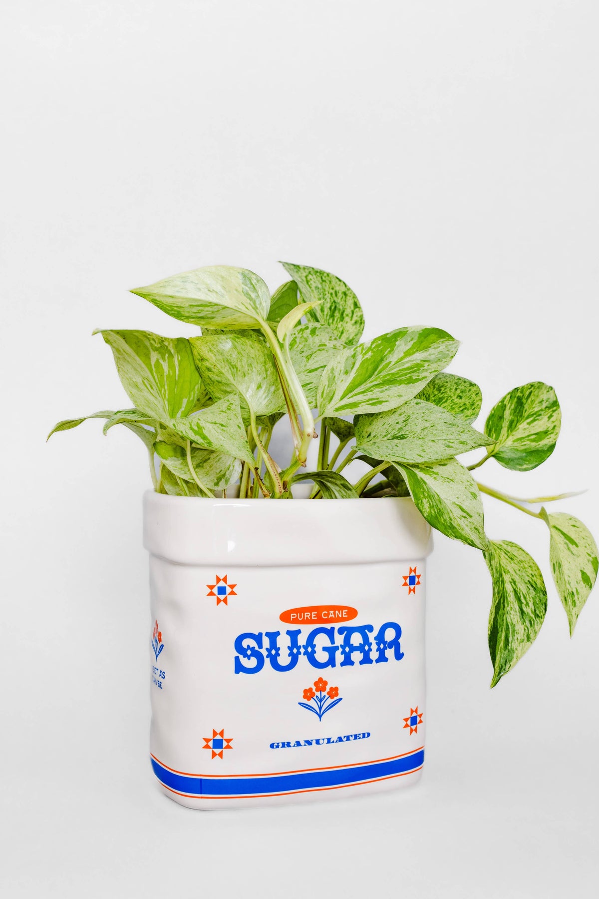 Sugar Jar Ceramic Planter