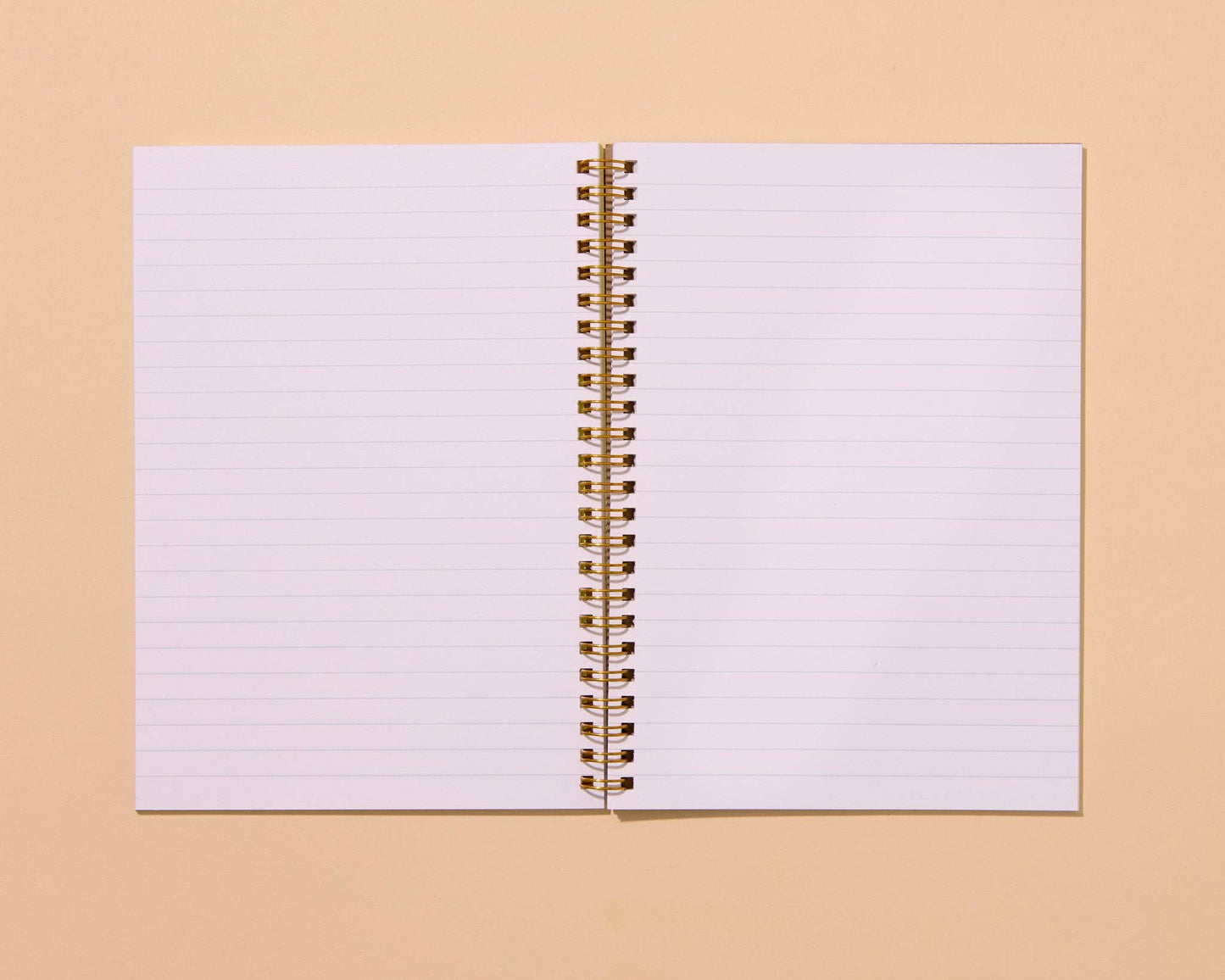 Flying Mallards A5 Spiral Notebook
