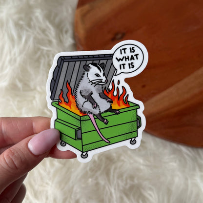 Opossum Dumpster Fire Sticker
