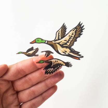 Mallard Ducks Sticker
