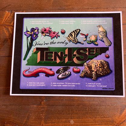 Only Ten I See Tennessee Print