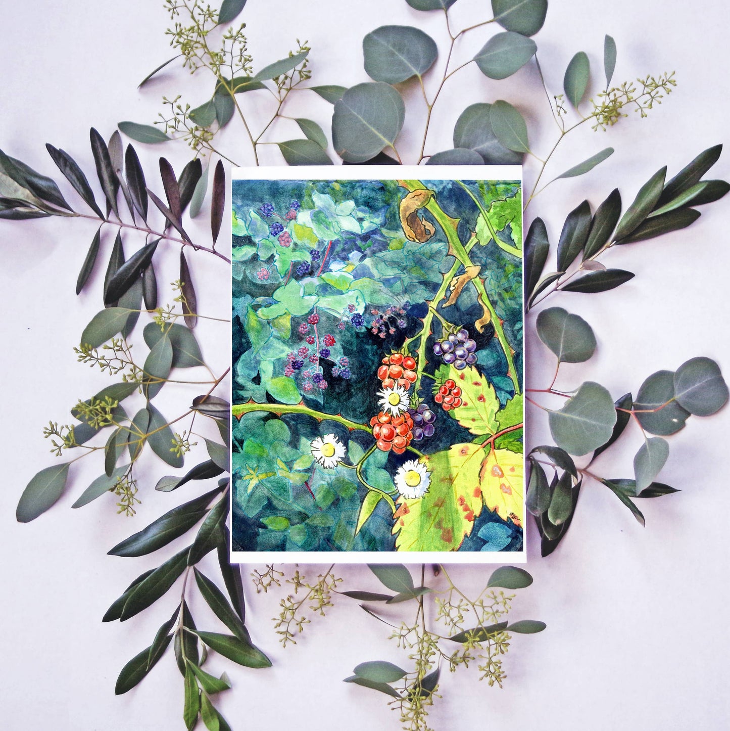 Wild Blackberry Bramble 8.5x11 Art Print