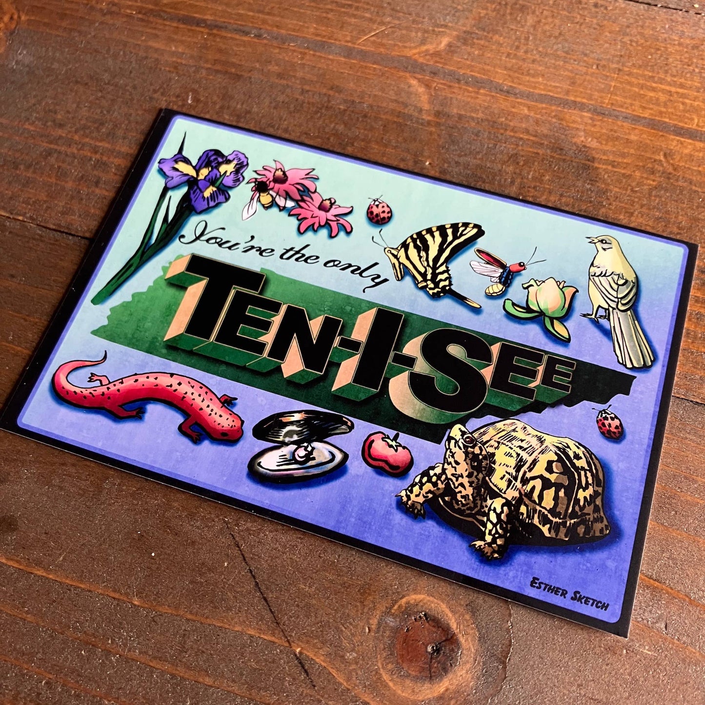 You're the only Ten I See Postcard
