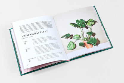 Little Book of House Plants and Other Greenery