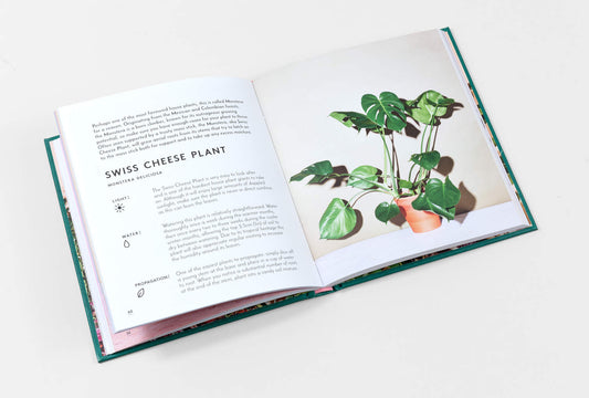 Little Book of House Plants and Other Greenery