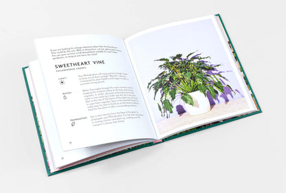Little Book of House Plants and Other Greenery