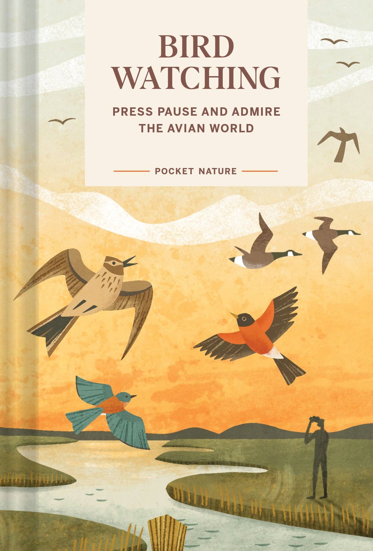 Pocket Nature: Bird-Watching