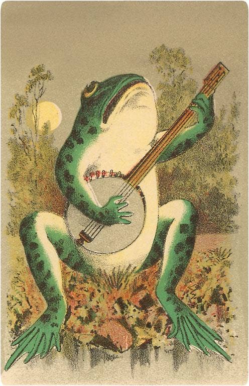 Frog Playing Banjo Magnet