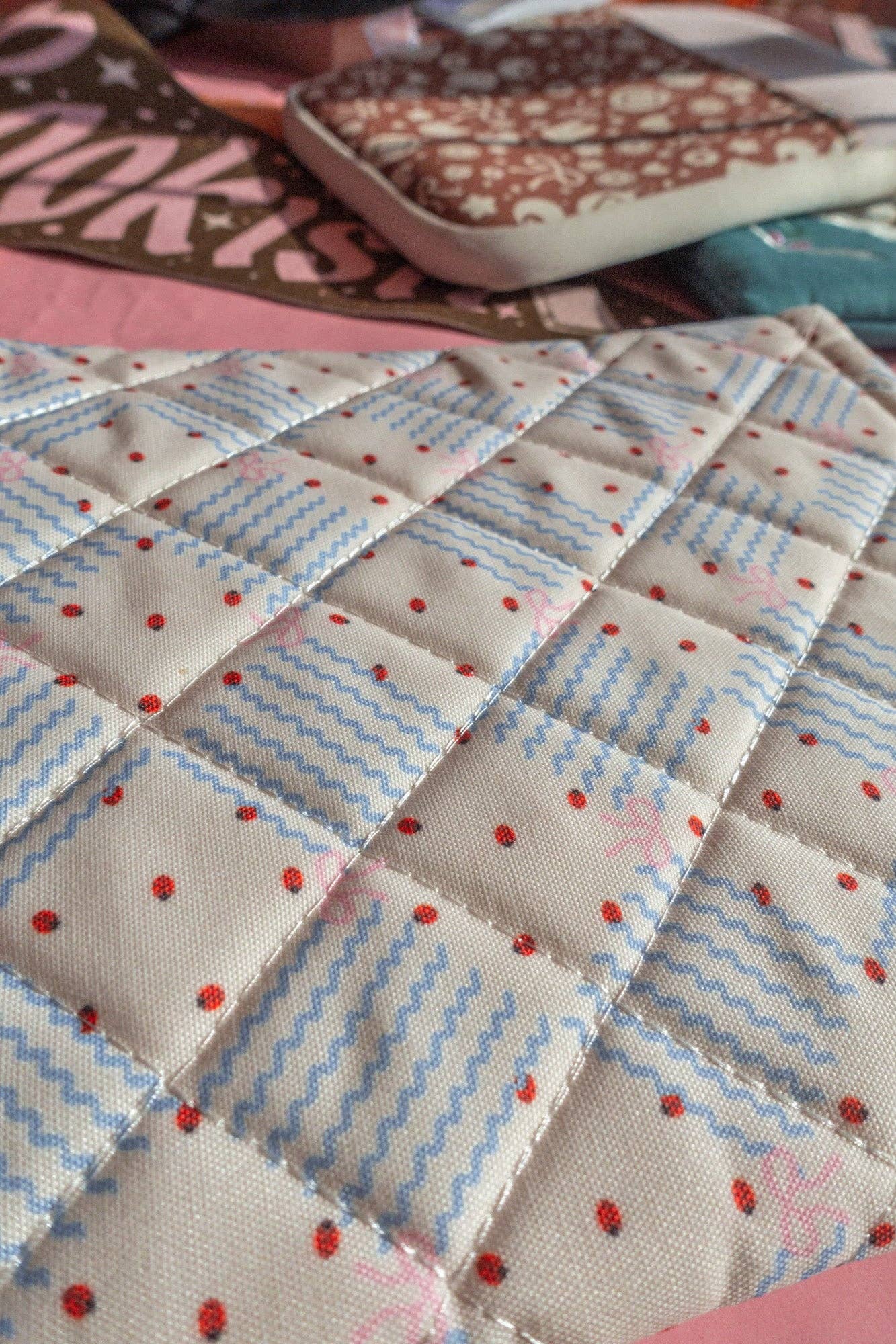 Quilted Ladybug Book/Kindle Sleeve