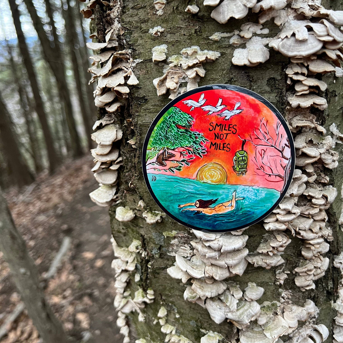 Smiles Not Miles Sticker